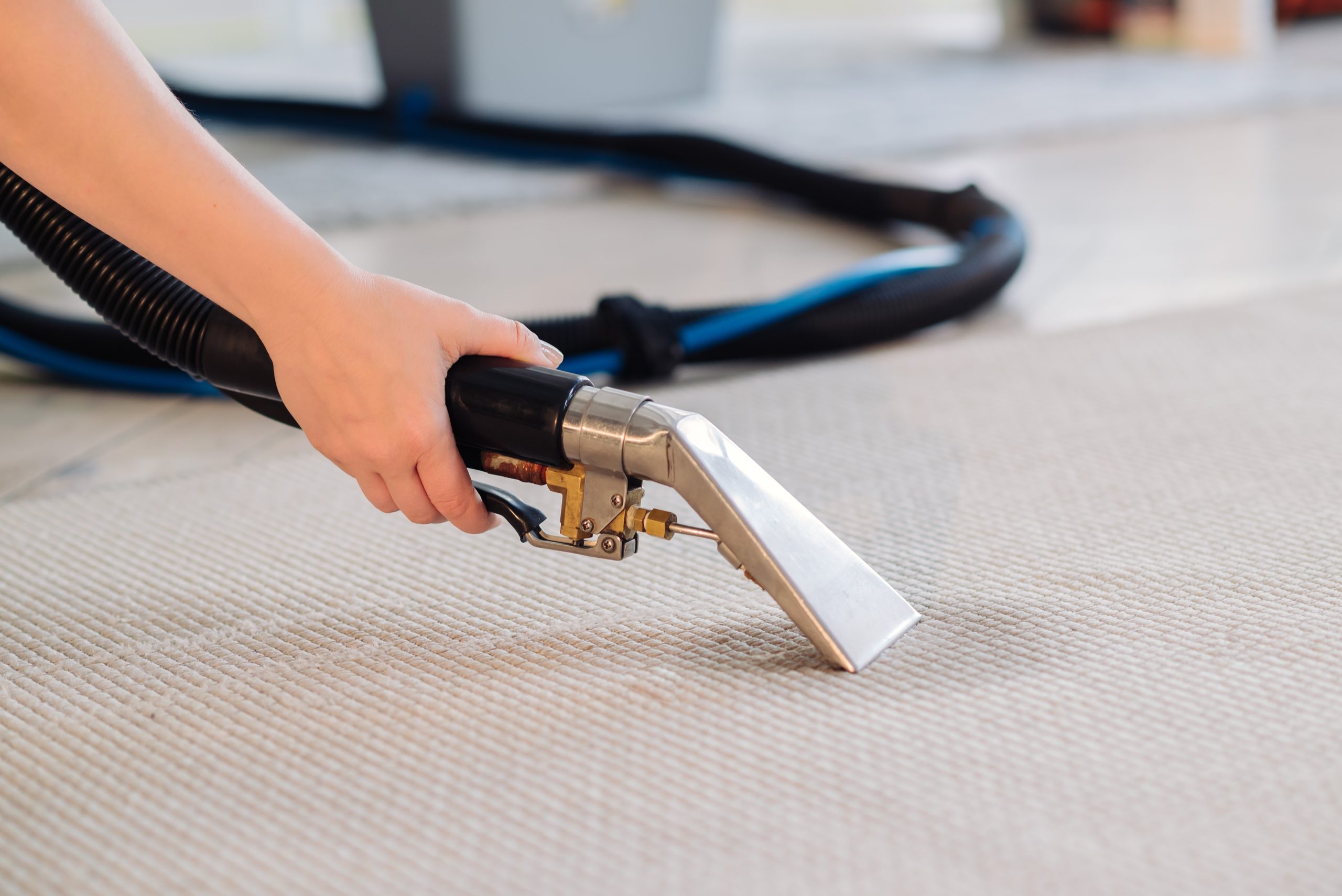 A person cleaning a beige carpet with a handheld carpet cleaning machine, focusing on a specific area. The machine has a black handle and a metal cleaning nozzle with a hose attached.