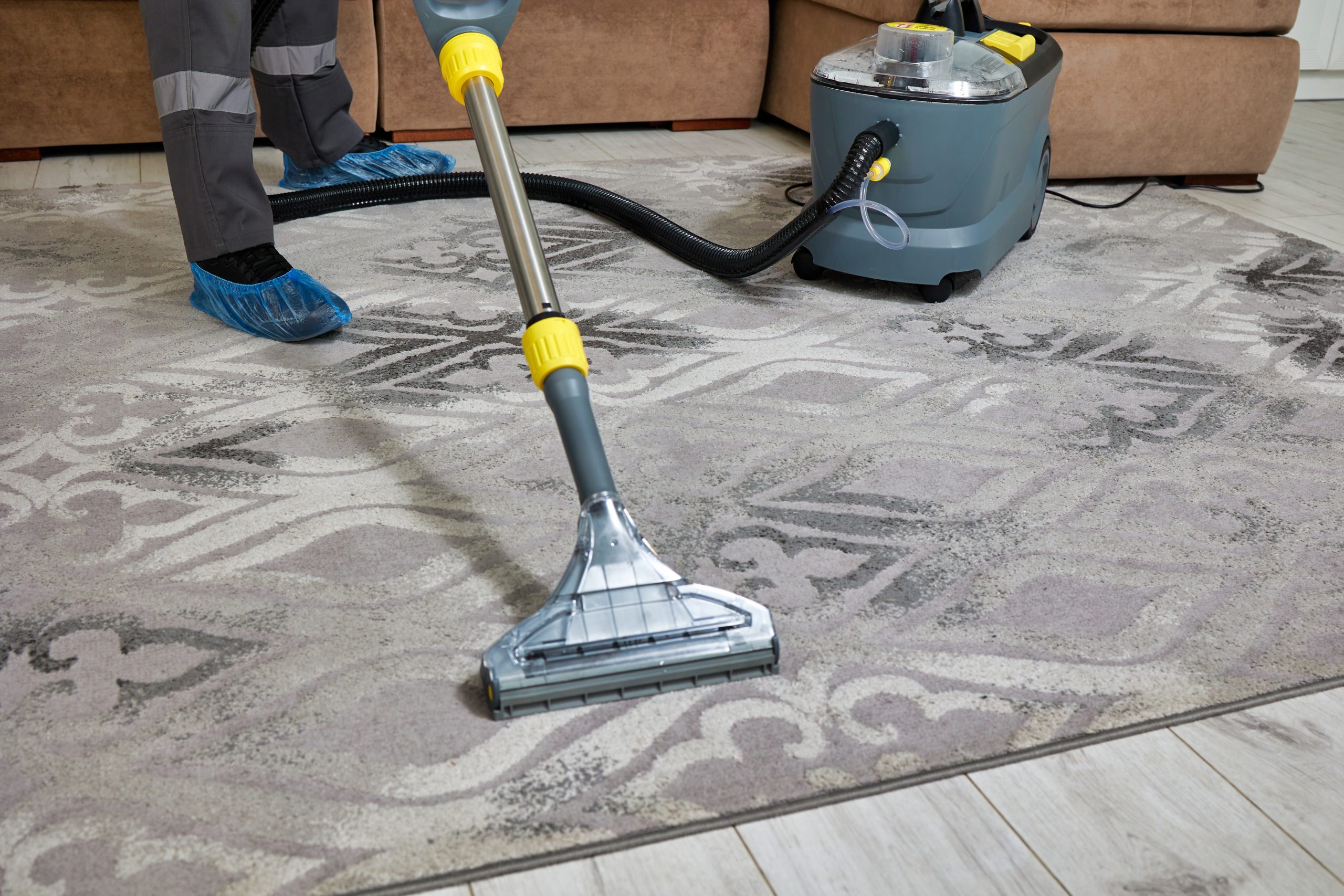 A person using a carpet cleaning machine on a patterned rug. The cleaner has a transparent suction head and a hose connected to a gray canister. The person is wearing blue shoe covers, and the room features a brown sofa and light wood flooring.